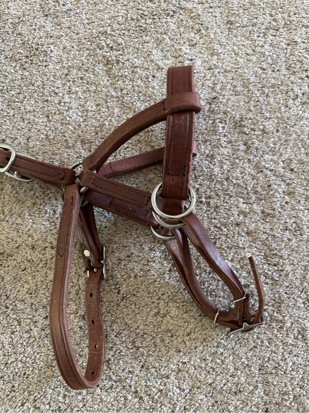 Buckaroo Leather Side Pull Bitless Bridle harness leather NWOT - Picture 5 of 8